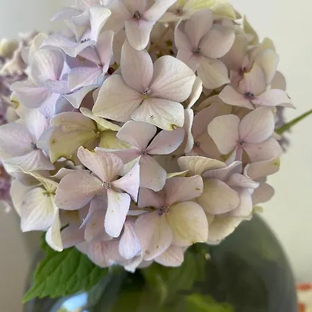 公寓 Boutique 捷克布杰约维采