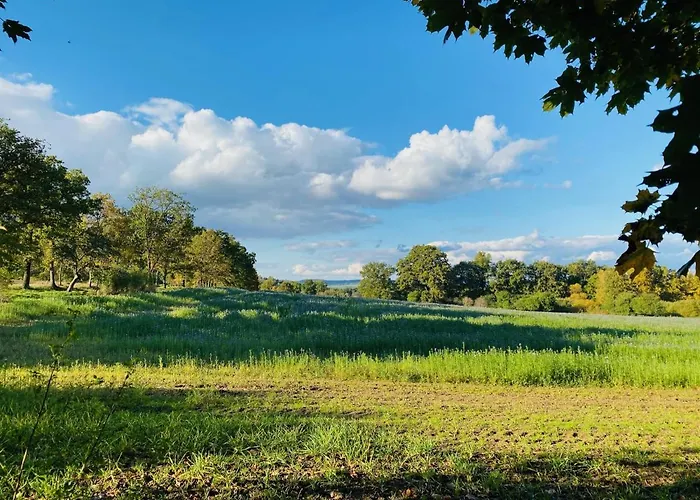 Boutique 아파트 체스케부데요비체